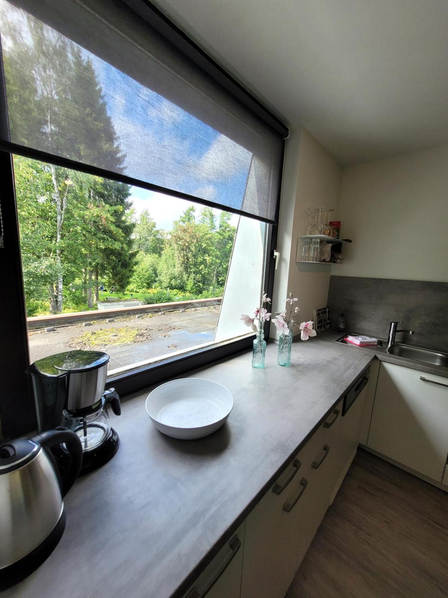 Winterberg Appartement 21097 Dış mekan fotoğraf