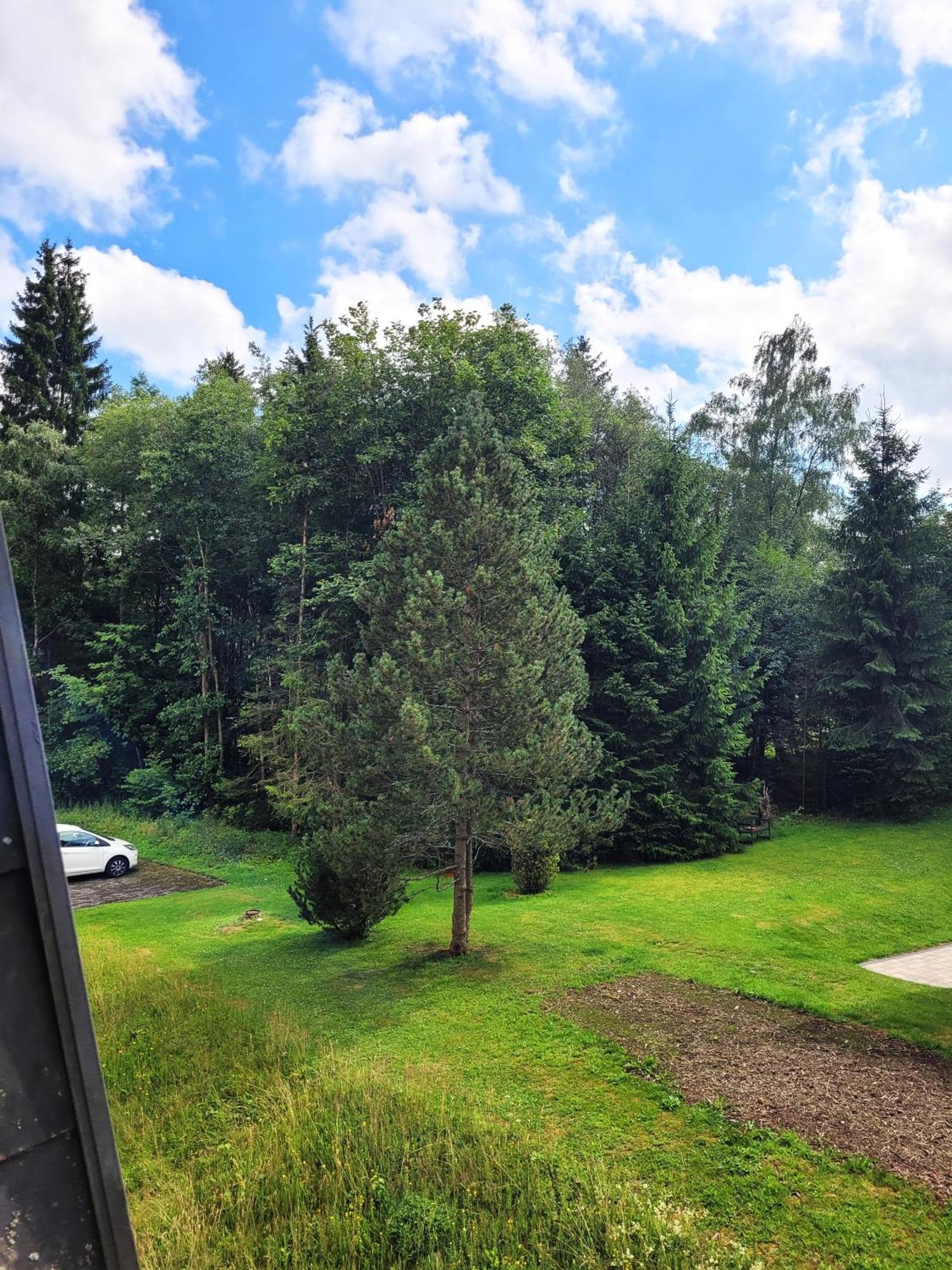 Winterberg Appartement 21097 Dış mekan fotoğraf